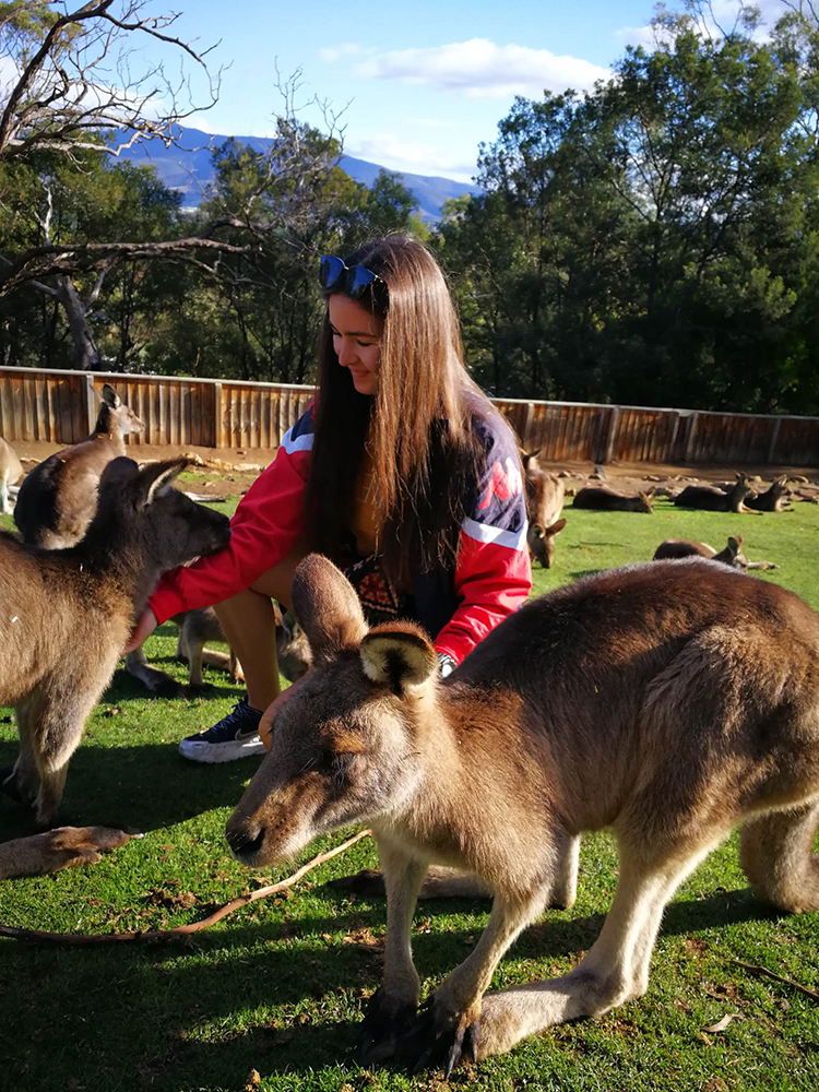 dívka krmí v Australii klokany