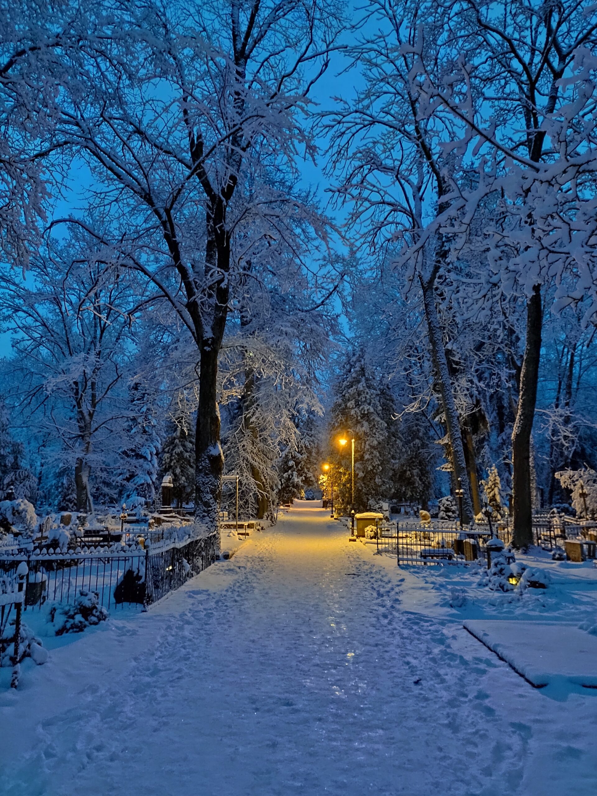 Estonsko v zimě