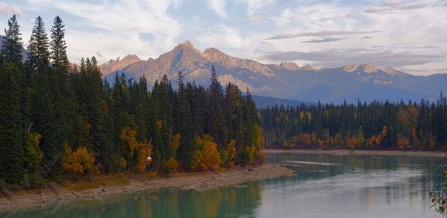 czechus_web_canada_golden