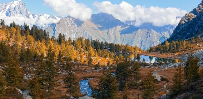 czechus_web_canada_jaspe