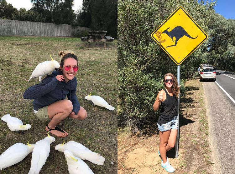 Práce a studium v Austrálii
